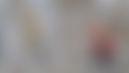 Leona Jones receives Karl Sczuba Prize