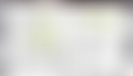 Leona Jones receives Kazakhstan commission