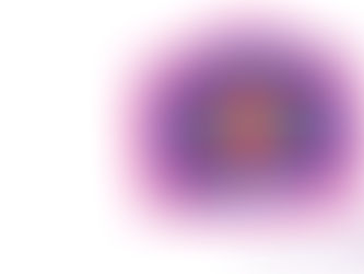 19.02.26 Zebra Cactus + The Best