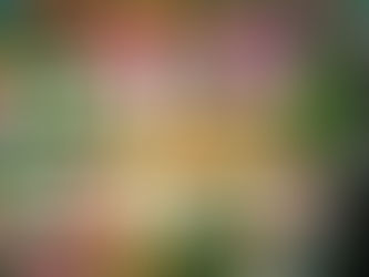 Cheryl Beer: Inclusive Orchestration blog