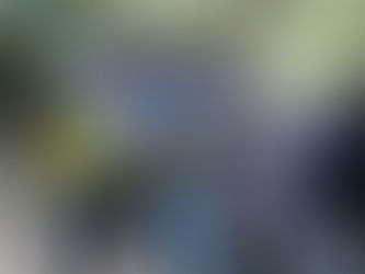 2023.03.08【跟著蒲公英去旅行Ⅱ】