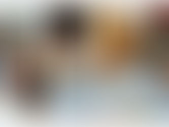 2021.08.24【蒲公英我罩你 系列十一】