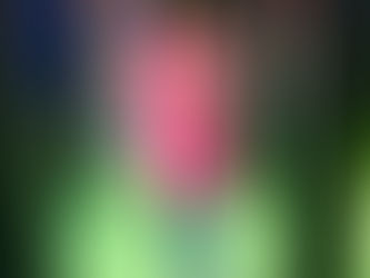 【我們的故事】之三十四