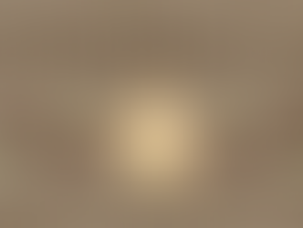 Wholesale Partner - The Primitive Lane