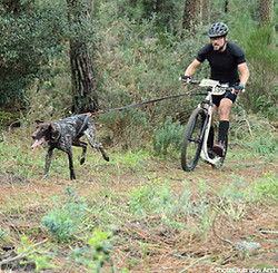 Croc-Côtière 2023-Point 6-Michel L_115.JPG