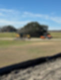 IMG_5513.jpeg