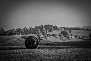 Ιουλιος 2022 Bossico -Brescia υψομετρο 860 μ. film ilford plus.jpg