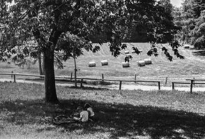 Αυγουστος 2022 Bossico (Brescia) film Ilford.jpg