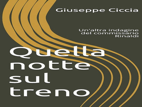 Quella notte sul treno