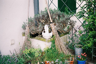 Two brooms in a garden for jumping the broom ritual