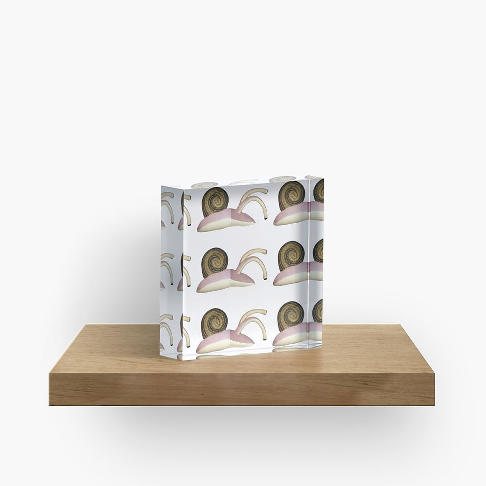 Miniature : Bloc Plexiglass 31
