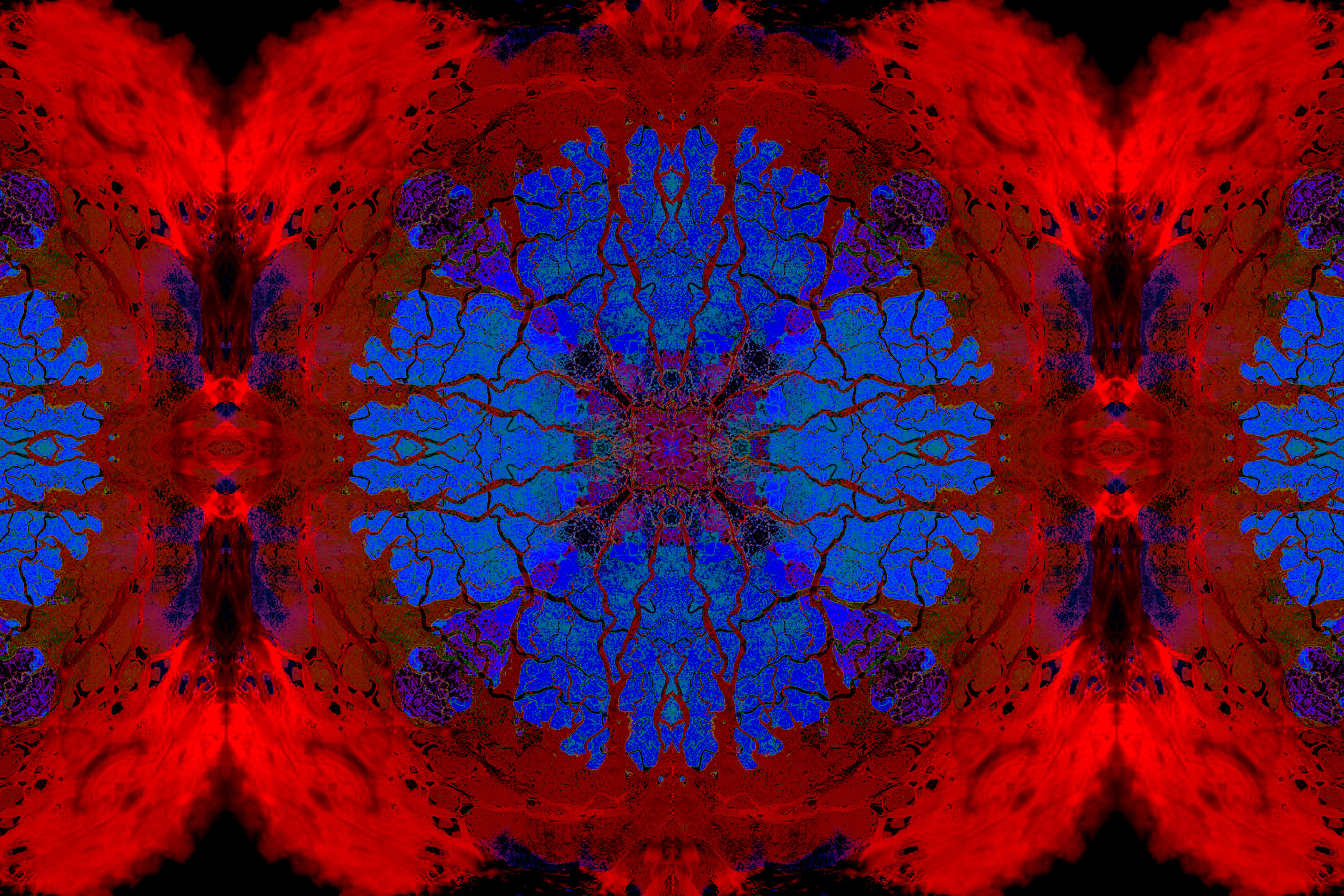 Photomontage organique psychédélique