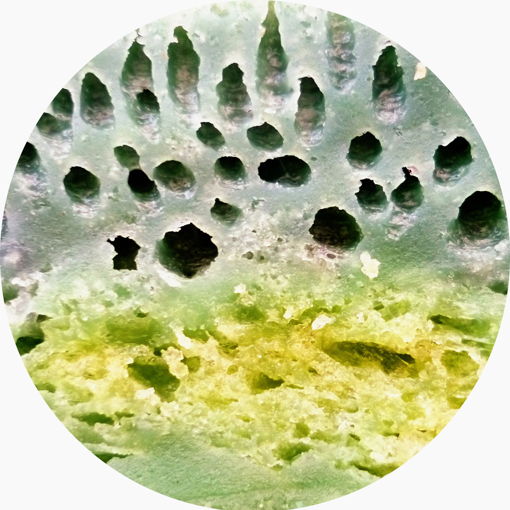 Photographie Format rond