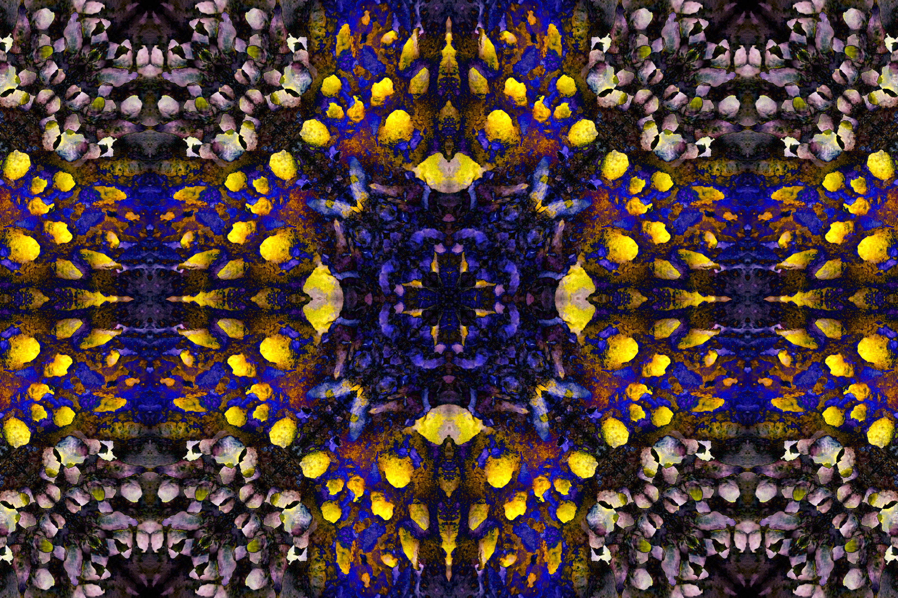 Photomontage organique