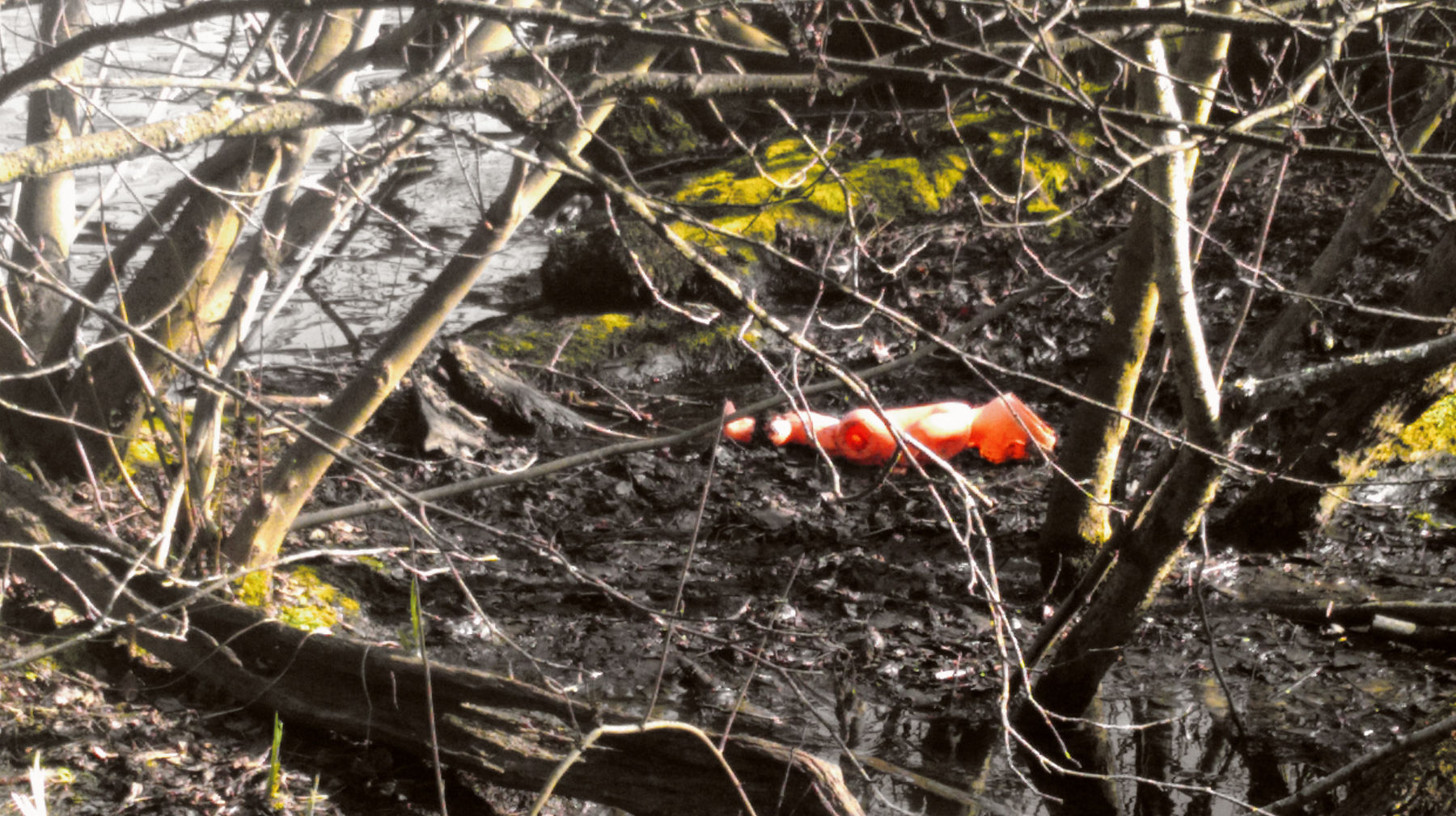 Photographie "Faux crime"