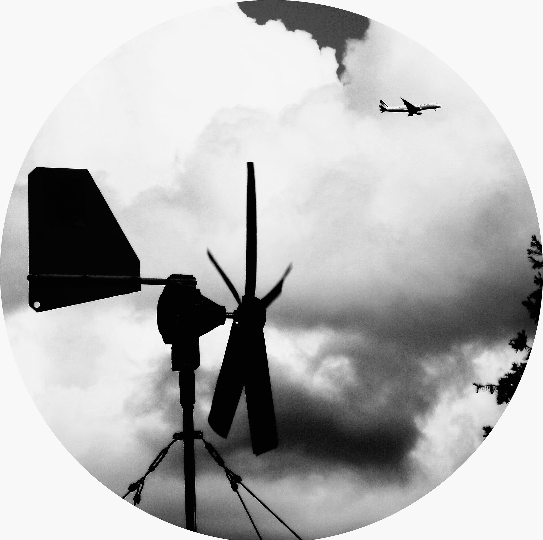 Photographie Format rond "Un air de famille"