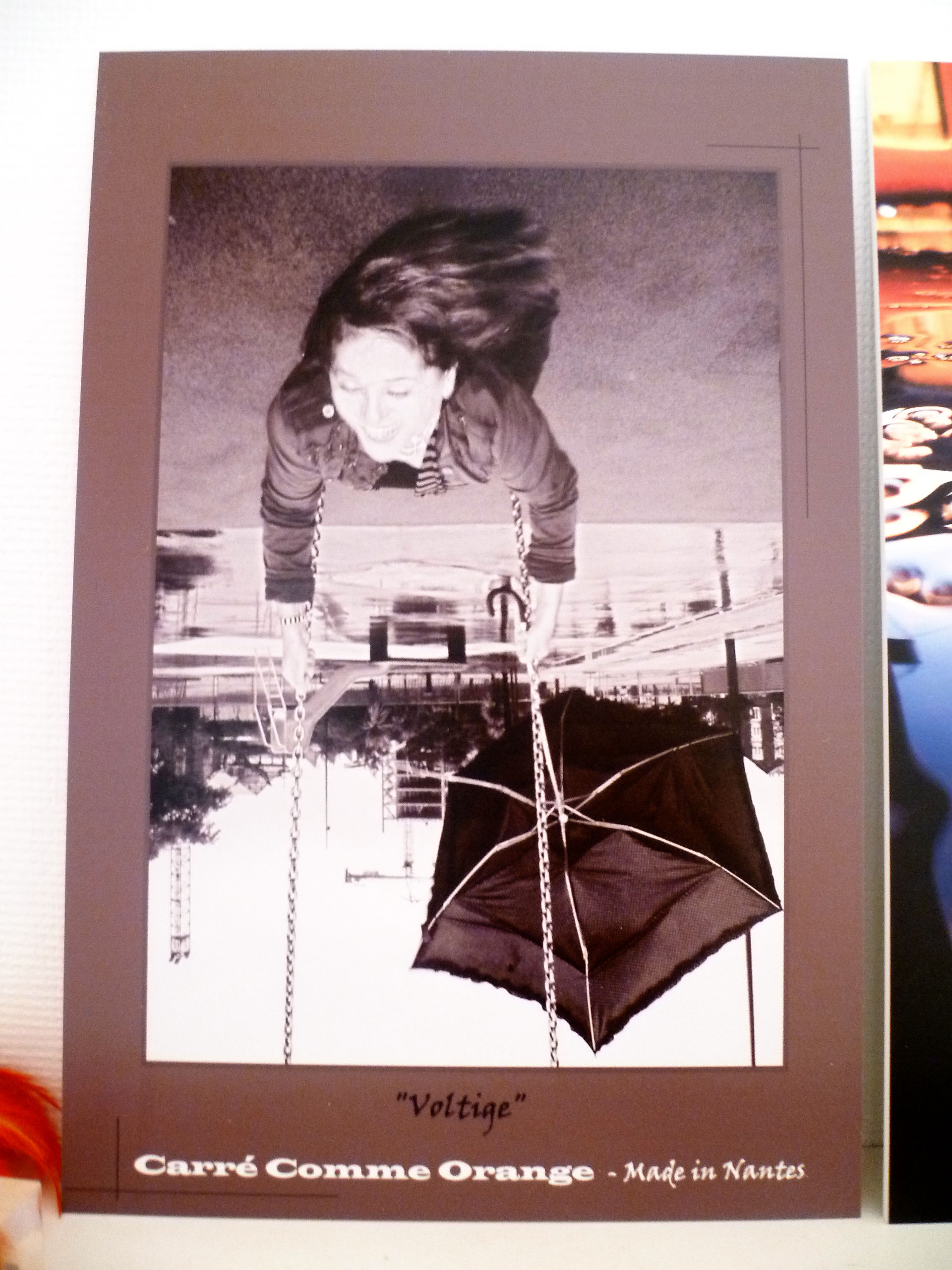 Panneau Forex "Voltige"