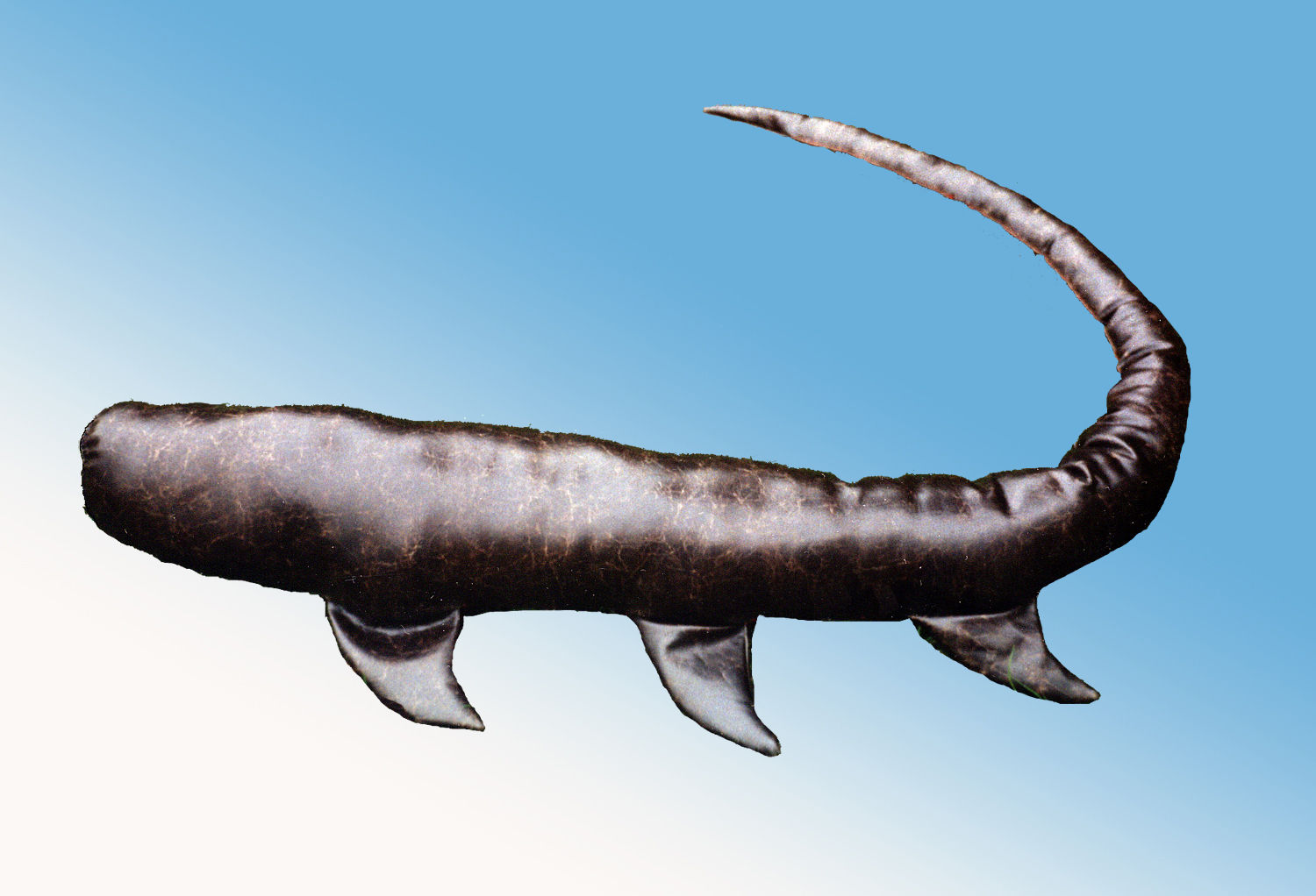 Créature "Aileronidos"