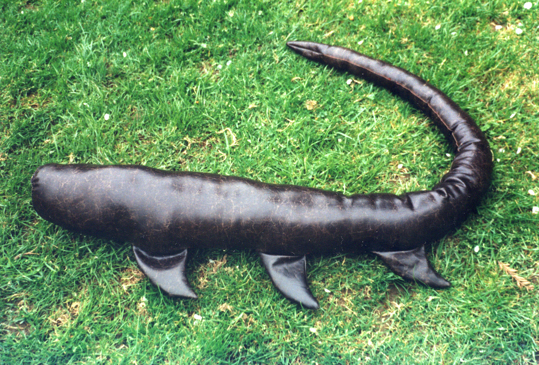 Créature "Aileronidos"