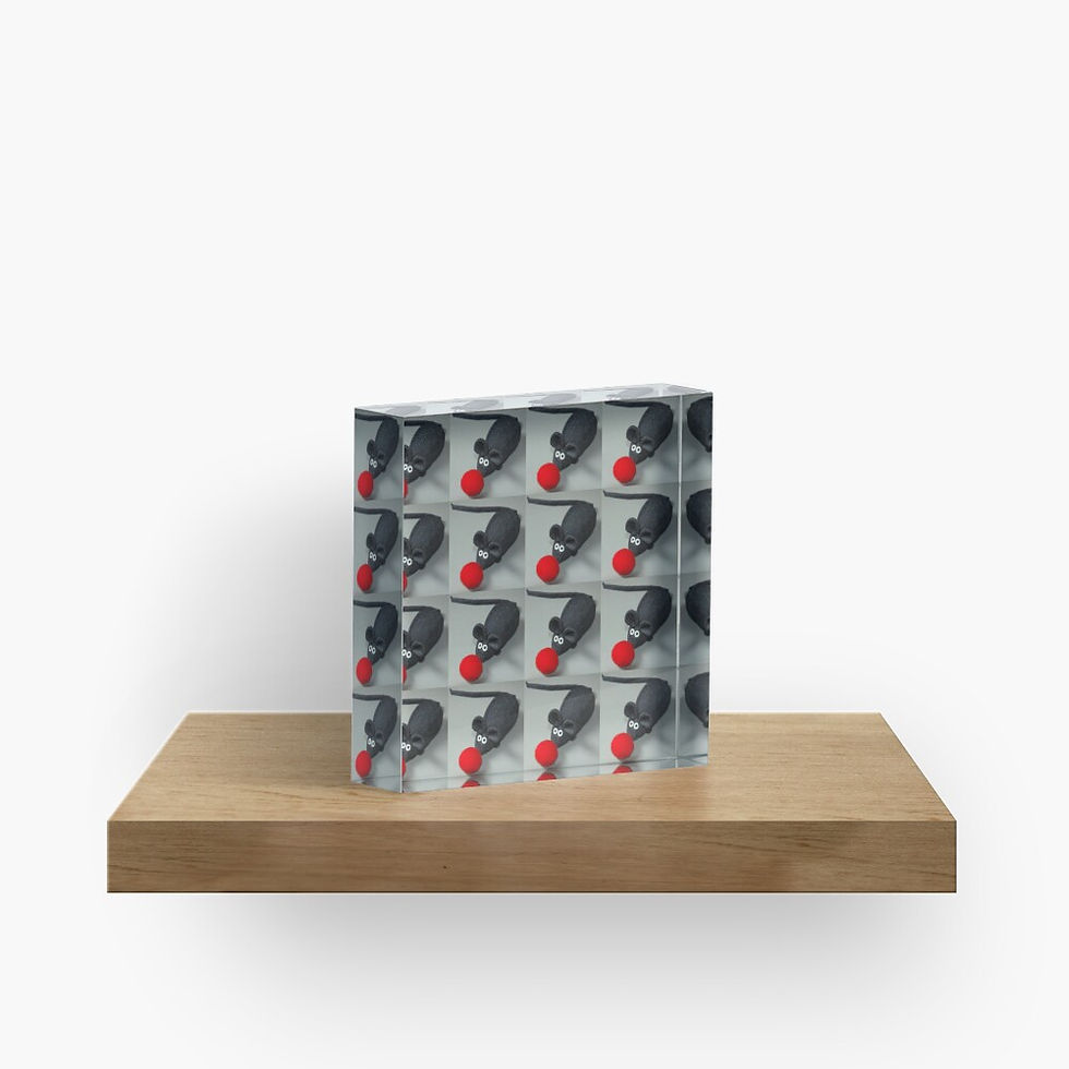 Miniature : Bloc Plexiglass 15