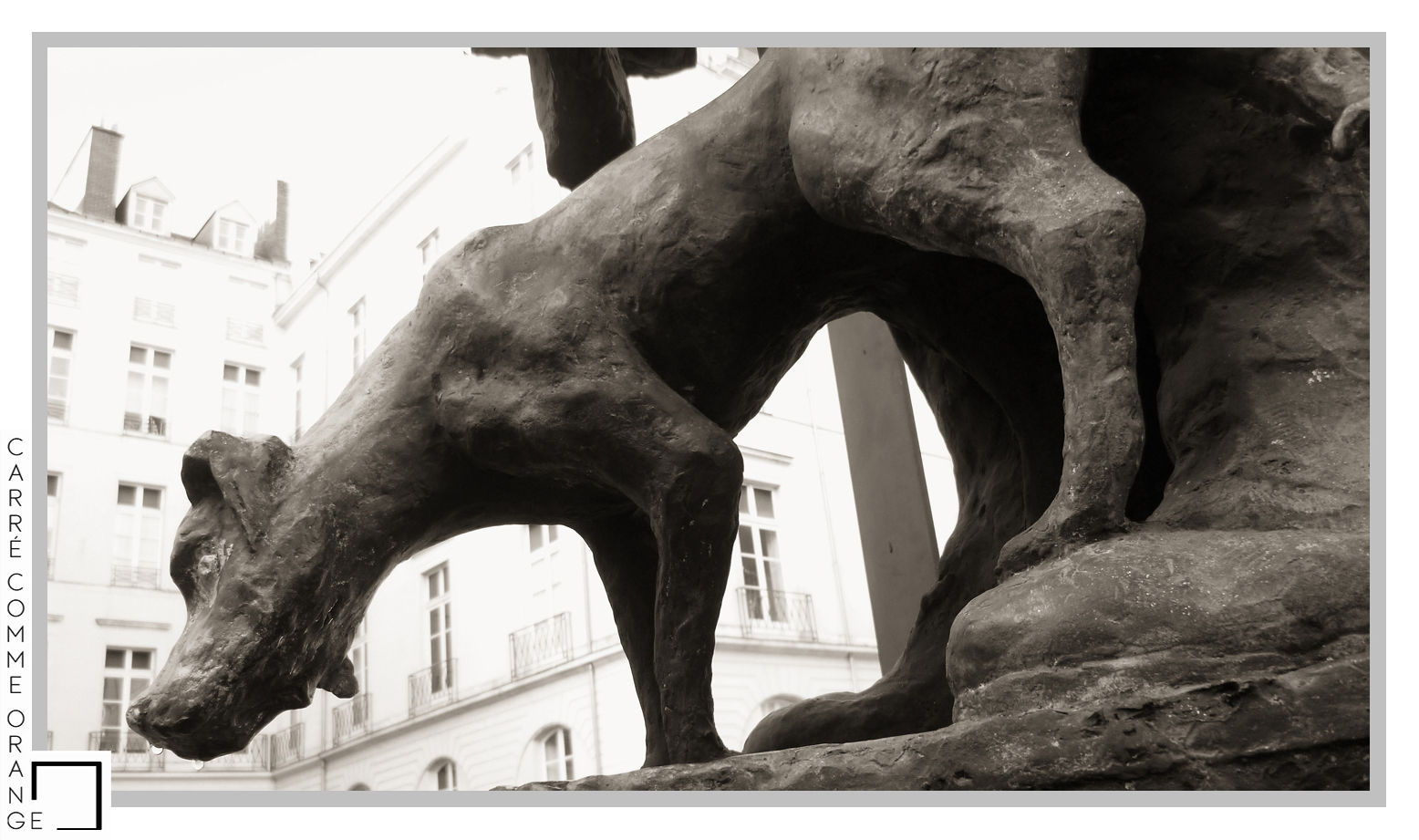 Chien en route pour la lune