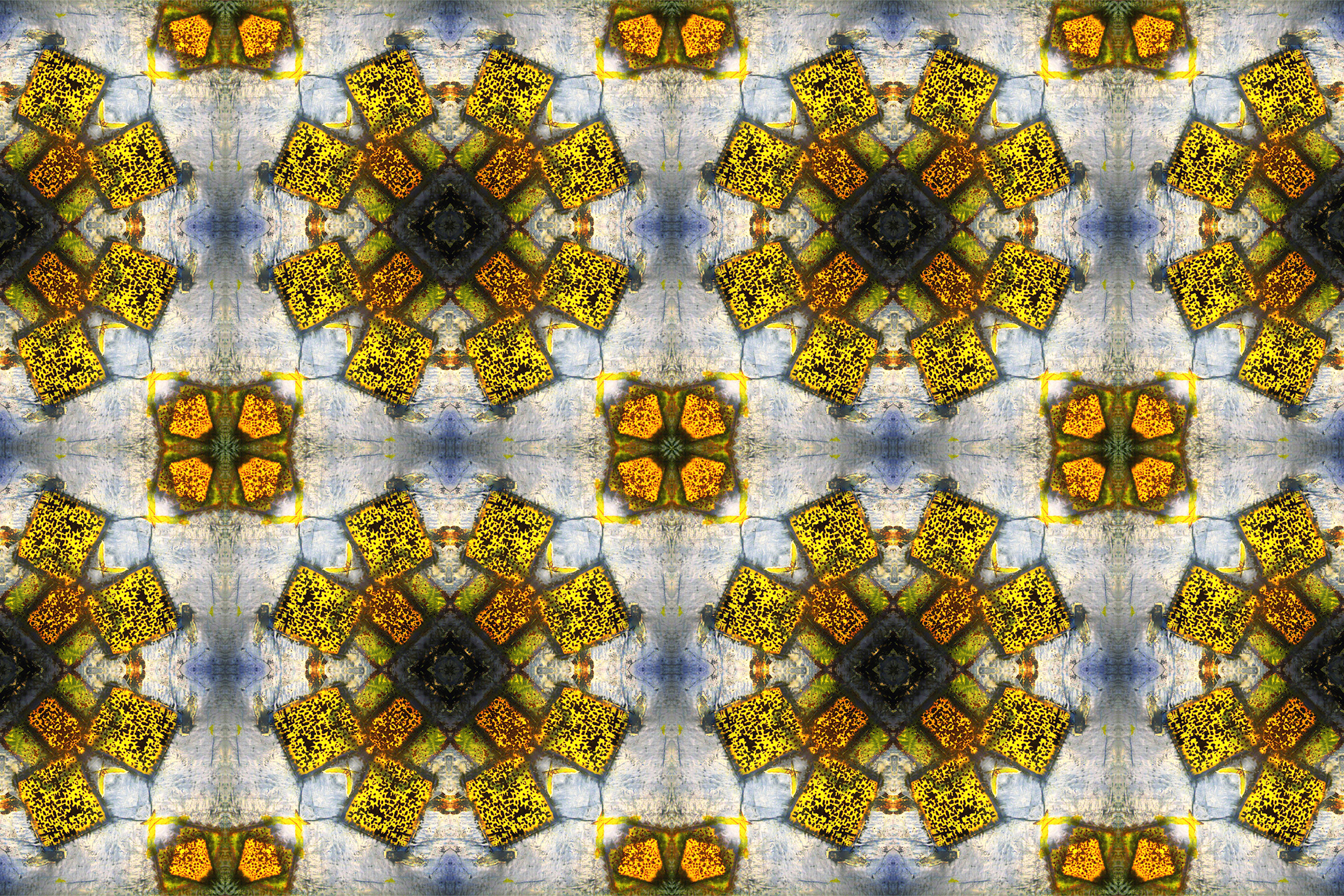 Photomontage organique floral