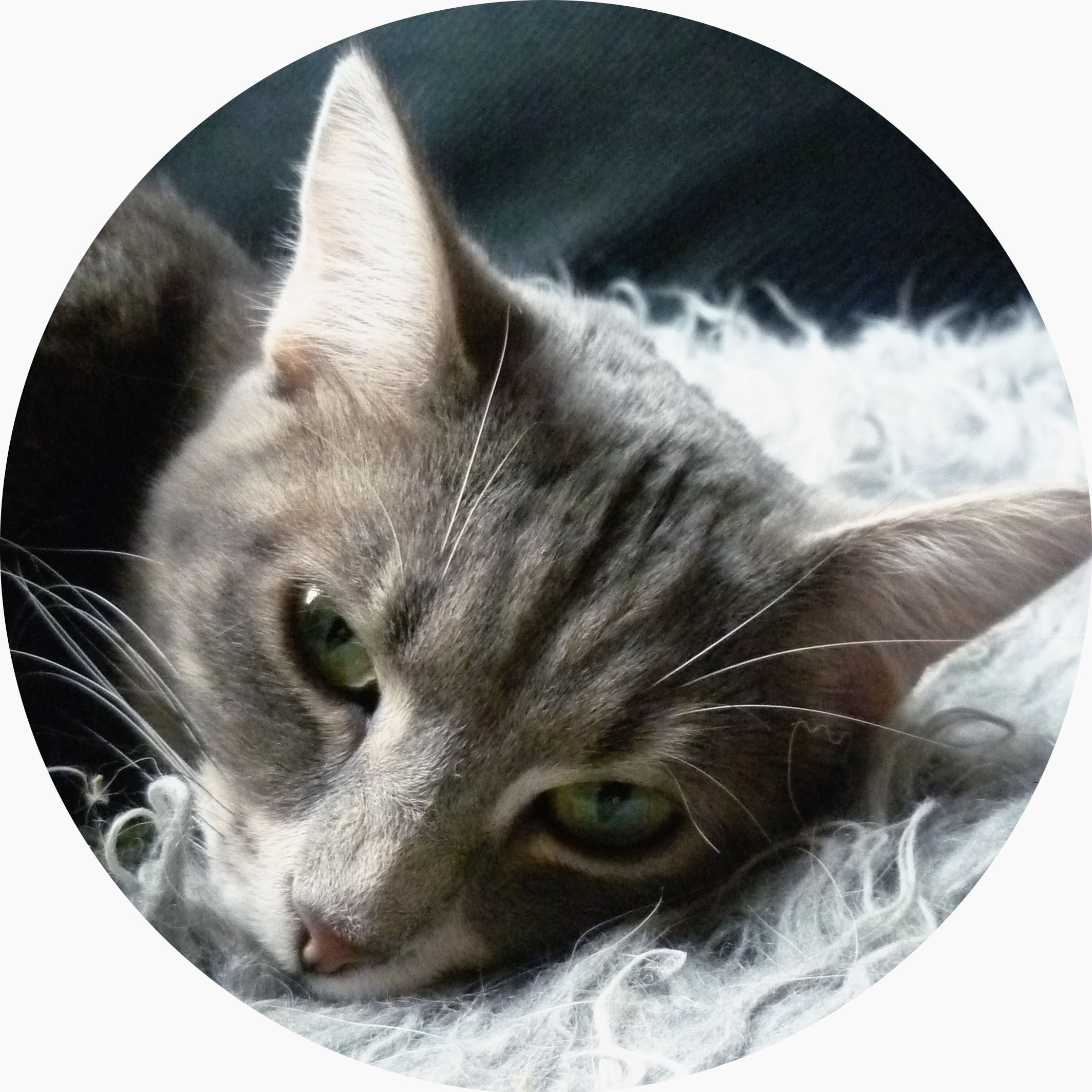 Photographie Format rond