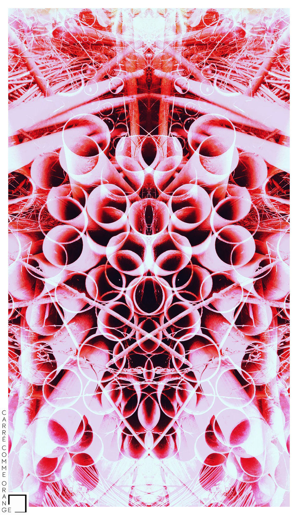 49