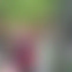 Поездка в зоопарк «Лимпопо»