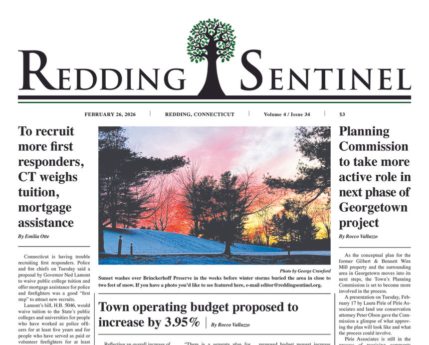 Redding Sentinel Volume 4, Issue 34 | February 26, 2026