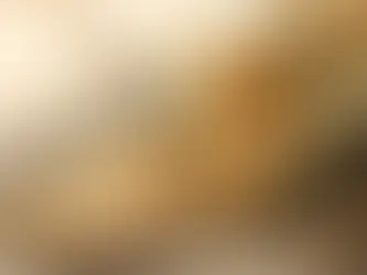 CAJU: O SUPERALIMENTO QUE VOCÊ PRECISA CONHECER