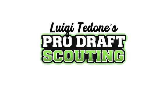 Luigi Tedone Pro Draft Scouting NFL Draft Rankings Risers/Fallers 2026 2027 2028 2029 2030