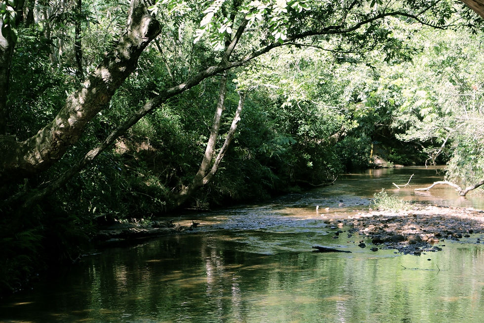 Riacho de águas límpidas