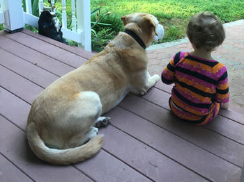 dog and child sitting on a front porch together