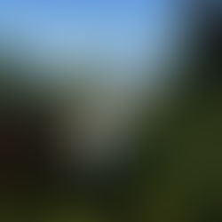 Summer 2026 Update 2.0