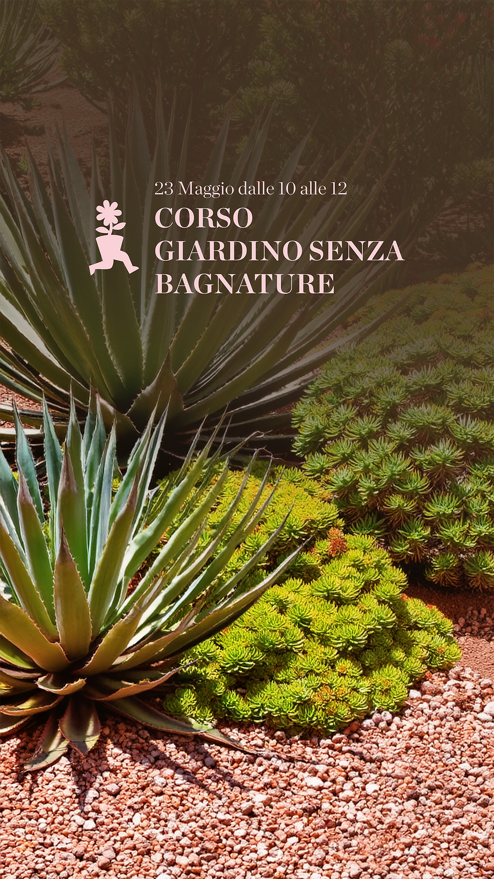 Corso gratuito: Giardino senza bagnature