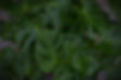 DSC00509_edited.jpg