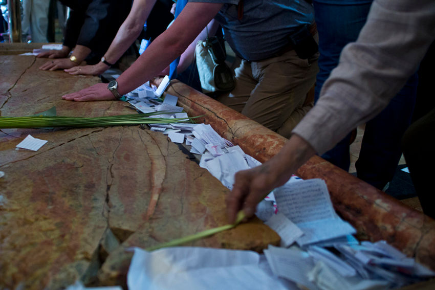   יום כפות התמרים 034.jpg