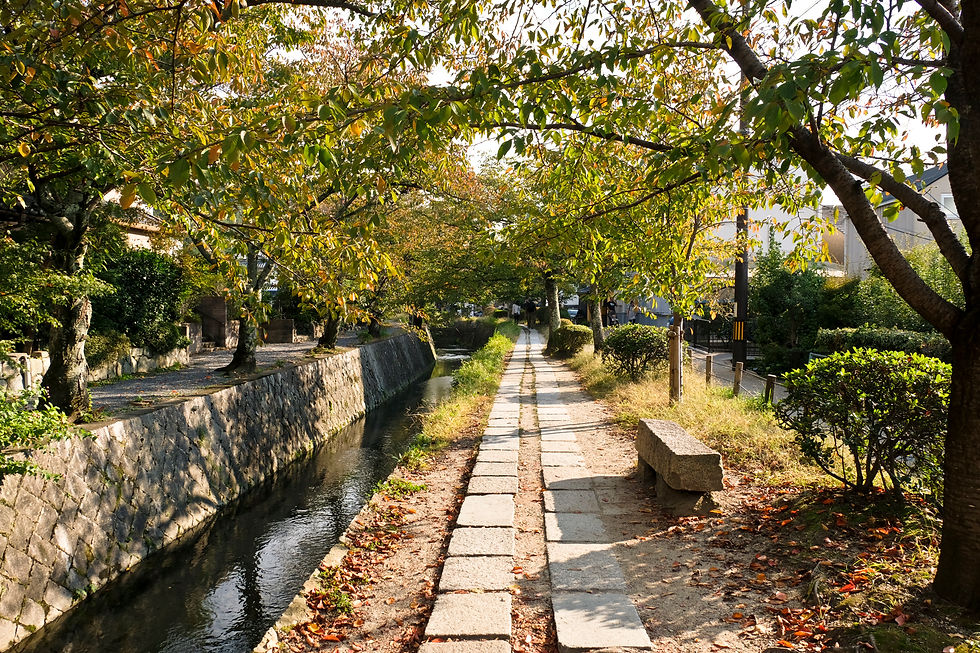 שביל הפילוסופים קיוטו 1