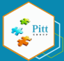 Pitt Group Logo