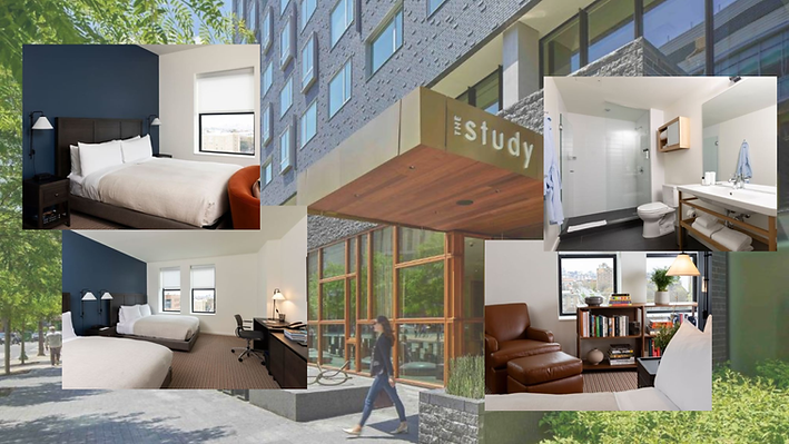 Substack Images (33).png