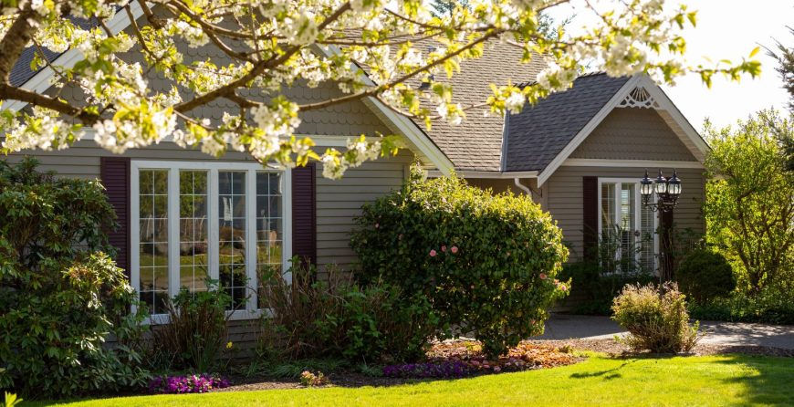 Sunny suburban house with gray siding, blooming tree branches in front, lush garden, and a peaceful landscaped yard.