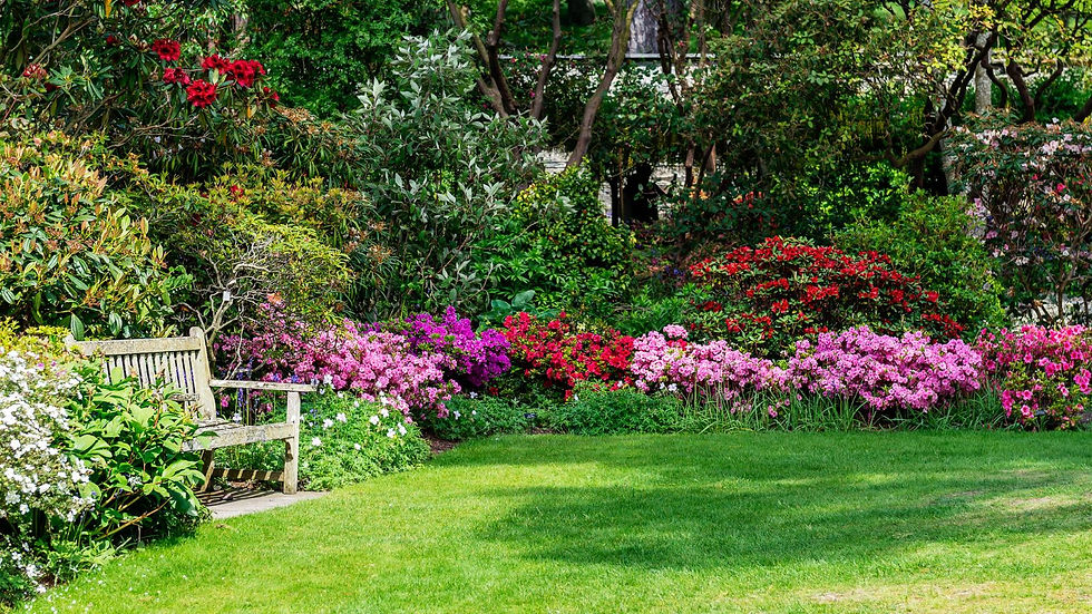 Wooden bench beside a lush lawn, framed by pink, red, and white blooms in a peaceful leafy garden.
