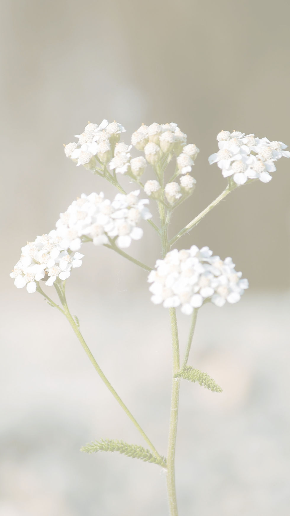 September 2025 6_edited.jpg