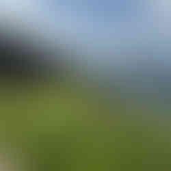 golf course at Four Seasons Tamarindo