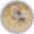 FOODS.png