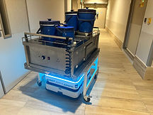 SESTO Meal Delivery in Healthcare Facility