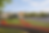 Playground ReDo.png