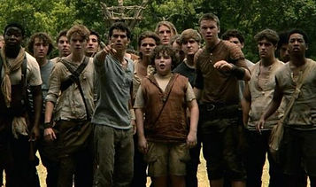 maze runner pic.jpg