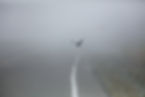 Flying Bird
